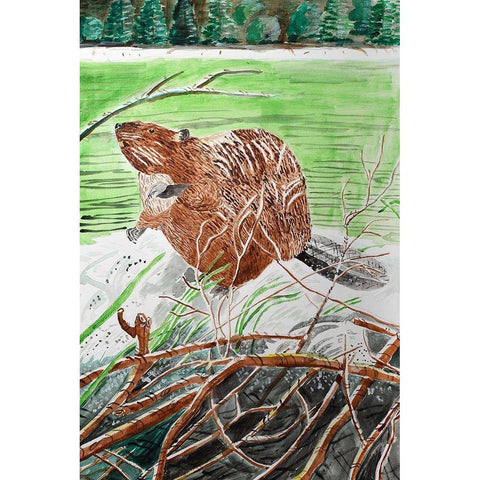 Beaver Buddy White Modern Wood Framed Art Print by Derr, Wynn