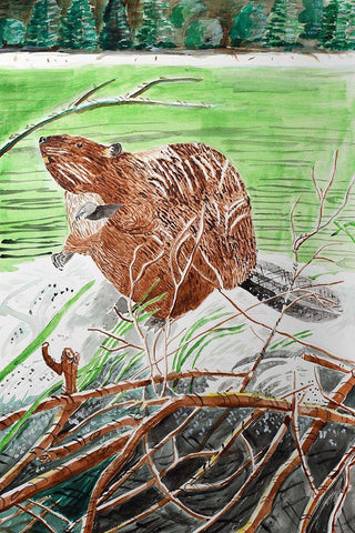 Beaver Buddy Black Ornate Wood Framed Art Print with Double Matting by Derr, Wynn