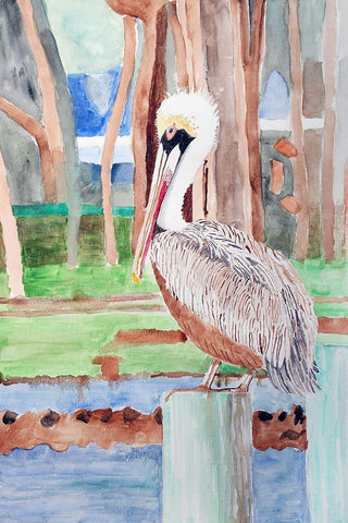 Brown Pelican White Modern Wood Framed Art Print with Double Matting by Derr, Wynn