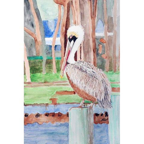 Brown Pelican Gold Ornate Wood Framed Art Print with Double Matting by Derr, Wynn