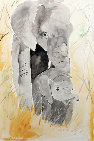 Elephant Pair White Modern Wood Framed Art Print with Double Matting by Derr, Wynn