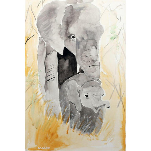 Elephant Pair White Modern Wood Framed Art Print by Derr, Wynn