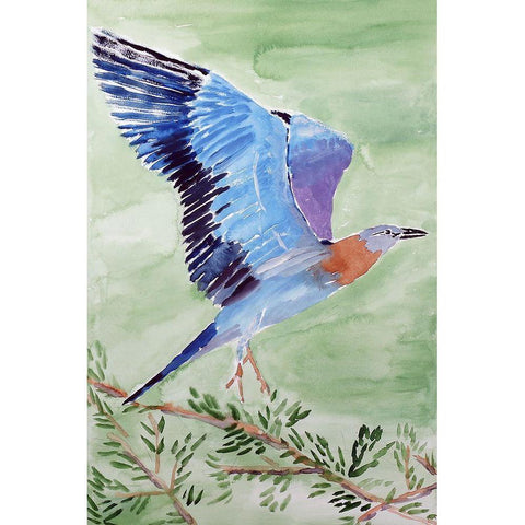 European Roller White Modern Wood Framed Art Print by Derr, Wynn