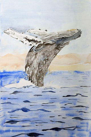 Humpback Whale White Modern Wood Framed Art Print with Double Matting by Derr, Wynn