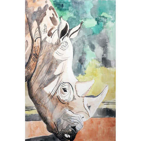 Javan Rhino Black Modern Wood Framed Art Print with Double Matting by Derr, Wynn