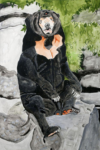 Malayan Sun Bear White Modern Wood Framed Art Print with Double Matting by Derr, Wynn