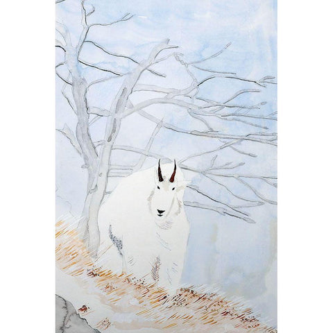 Mountain Goat White Modern Wood Framed Art Print by Derr, Wynn