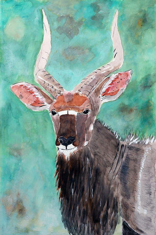 Nyala Bull Black Ornate Wood Framed Art Print with Double Matting by Derr, Wynn