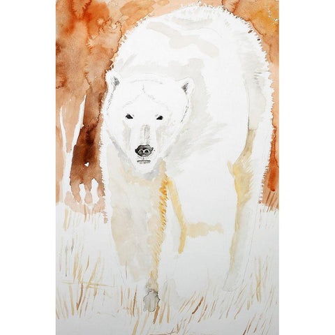 Polar Bear Black Modern Wood Framed Art Print with Double Matting by Derr, Wynn