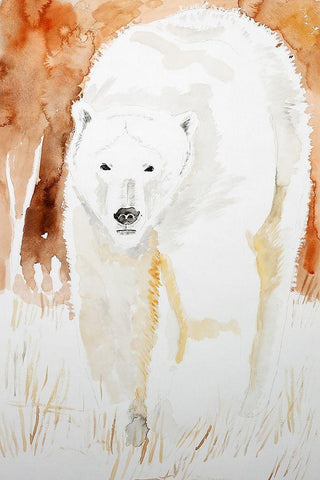 Polar Bear White Modern Wood Framed Art Print with Double Matting by Derr, Wynn