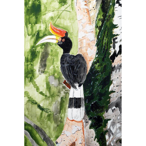 Rhinoceros Hornbill White Modern Wood Framed Art Print by Derr, Wynn