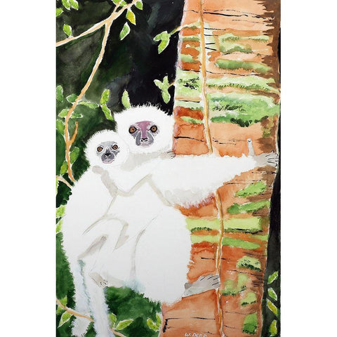 Silky Sifaka Duo Gold Ornate Wood Framed Art Print with Double Matting by Derr, Wynn