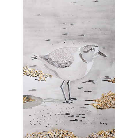 Snowy Plover White Modern Wood Framed Art Print by Derr, Wynn