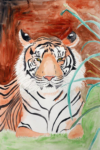 Sumatran Tiger White Modern Wood Framed Art Print with Double Matting by Derr, Wynn