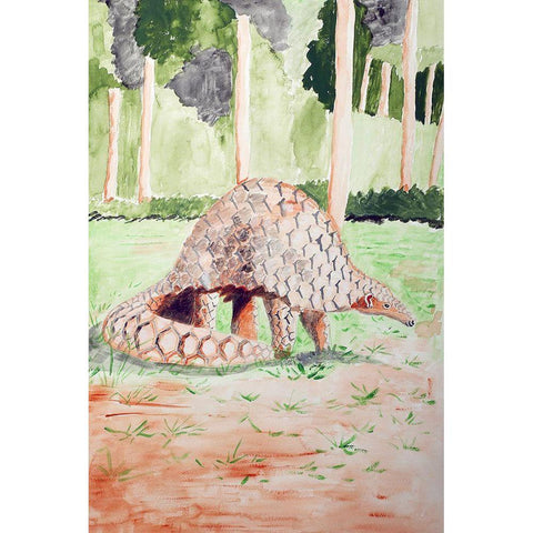 Sunda Pangolin Black Modern Wood Framed Art Print with Double Matting by Derr, Wynn