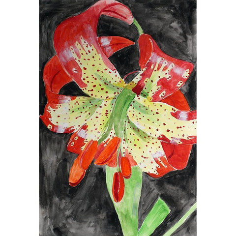 Western Lily White Modern Wood Framed Art Print by Derr, Wynn