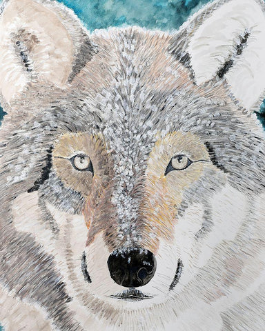 Wintery Wolf White Modern Wood Framed Art Print with Double Matting by Derr, Wynn