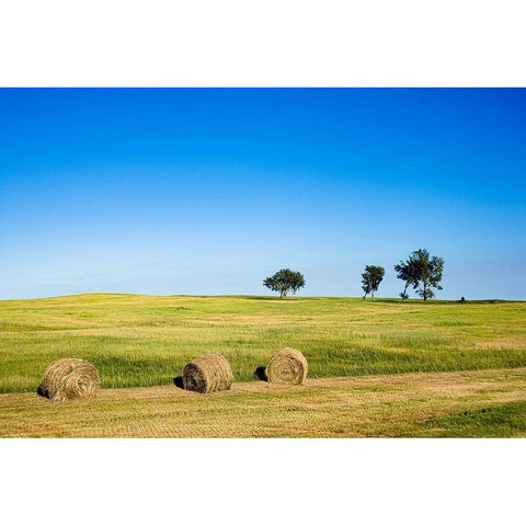 Hay Bales rural Nebraska Black Modern Wood Framed Art Print with Double Matting by Highsmith, Carol