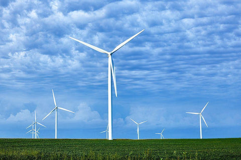 Wind Farms in Franklin County-Iowa Black Ornate Wood Framed Art Print with Double Matting by Highsmith, Carol