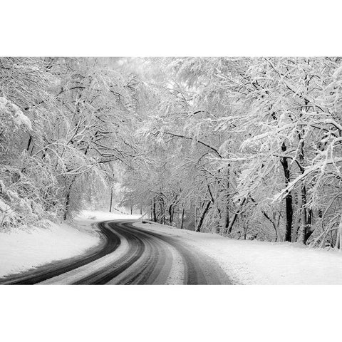 Rock Creek Park-Washington-D.C. White Modern Wood Framed Art Print by Highsmith, Carol