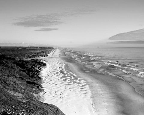 Oregon Dunes along the Pacific Ocean Black Ornate Wood Framed Art Print with Double Matting by Highsmith, Carol