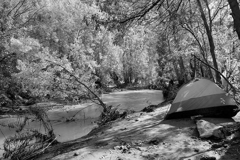 Havasu Creek Campground-Grand Canyon National Park Black Ornate Wood Framed Art Print with Double Matting by Highsmith, Carol