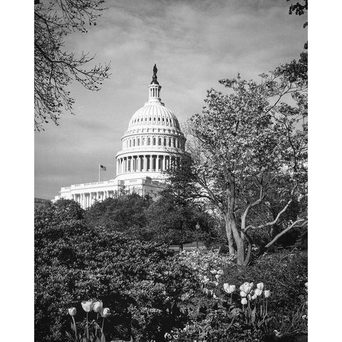 Capitol Hill-Washington D.C. Black Modern Wood Framed Art Print with Double Matting by Highsmith, Carol