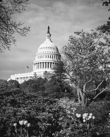 Capitol Hill-Washington D.C. White Modern Wood Framed Art Print with Double Matting by Highsmith, Carol