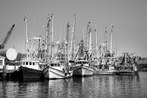 Bayou La Batre-Alabama USA White Modern Wood Framed Art Print with Double Matting by Highsmith, Carol