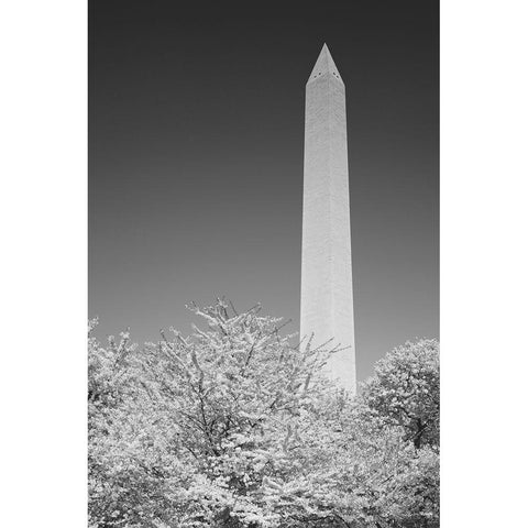 The Washington Monument in Washington-D.C. Black Modern Wood Framed Art Print by Highsmith, Carol