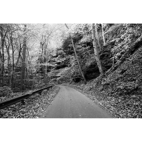 Picturesque road to Nuttallburg Black Modern Wood Framed Art Print with Double Matting by Highsmith, Carol