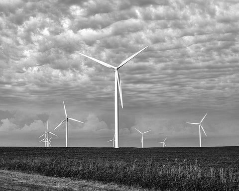 Wind farms-American prairie farms-Iowa Black Ornate Wood Framed Art Print with Double Matting by Highsmith, Carol