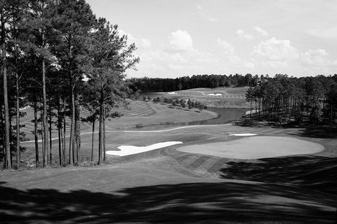 Robert Trent Jones Golf Trail-Ross Bridge-Alabama USA White Modern Wood Framed Art Print with Double Matting by Highsmith, Carol