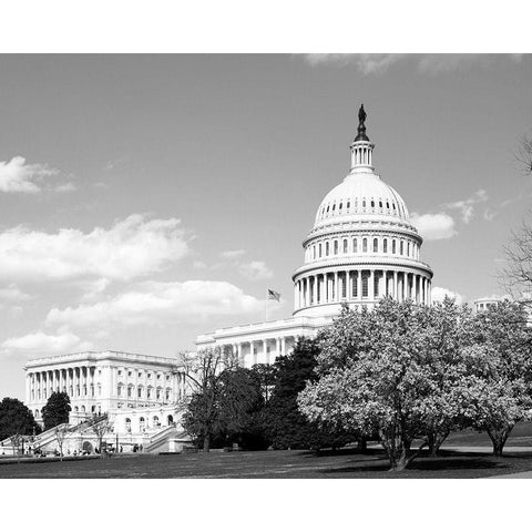 Capitol Hill Washington D.C. in cherry blossom season White Modern Wood Framed Art Print by Highsmith, Carol