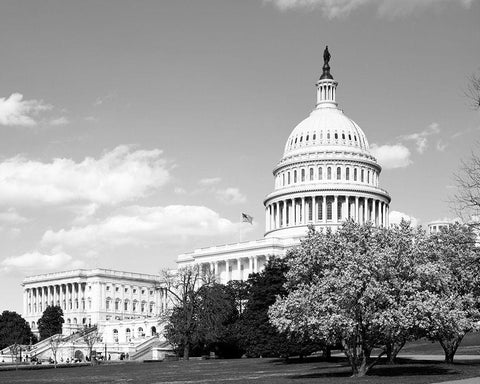 Capitol Hill Washington D.C. in cherry blossom season White Modern Wood Framed Art Print with Double Matting by Highsmith, Carol