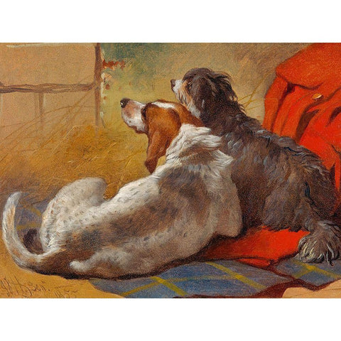 A Hound and a Bearded Collie seated on a Hunting Coat Black Modern Wood Framed Art Print with Double Matting by Herring, John Frederick