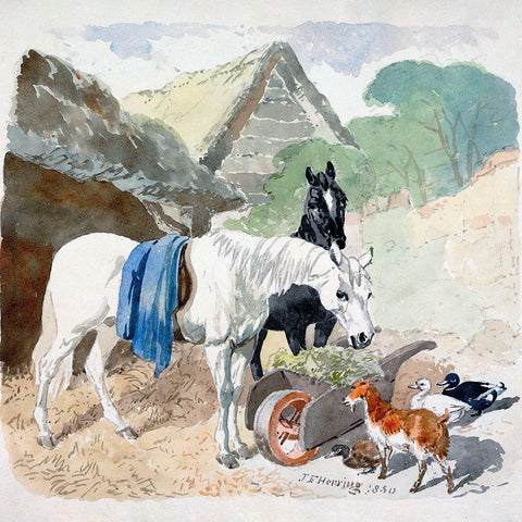 Two Horses Eating From a Wheel-Barrow Watched by a Goat and Three Ducks White Modern Wood Framed Art Print with Double Matting by Herring, John Frederick