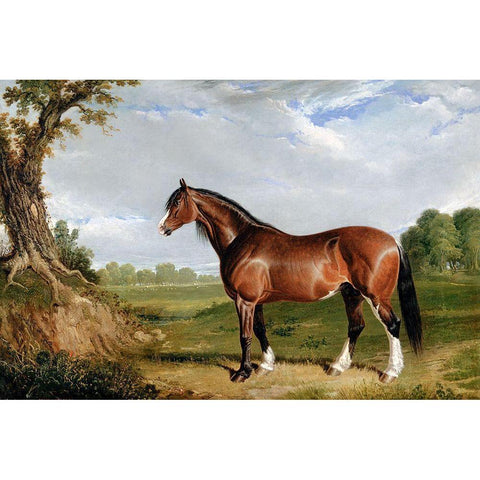 A Clydesdale Stallion Gold Ornate Wood Framed Art Print with Double Matting by Herring, John Frederick