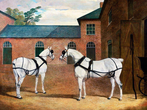 Grey carriage horses in the coachyard at Putteridge Bury-Hertfordshire Black Ornate Wood Framed Art Print with Double Matting by Herring, John Frederick