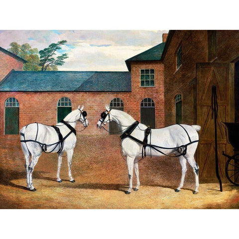 Grey carriage horses in the coachyard at Putteridge Bury-Hertfordshire Black Modern Wood Framed Art Print with Double Matting by Herring, John Frederick