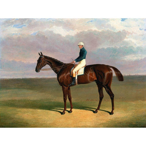 Margrave with James Robinson Up White Modern Wood Framed Art Print by Herring, John Frederick