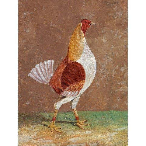 Fighting Cocks-a Pale-Breasted Fighting Cock White Modern Wood Framed Art Print by Herring, John Frederick