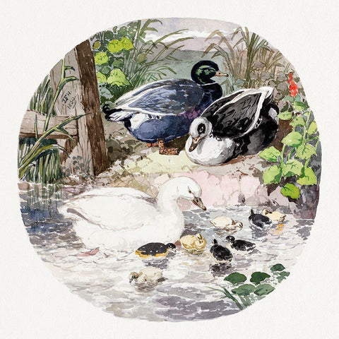 British Ducks Black Ornate Wood Framed Art Print with Double Matting by Herring, John Frederick