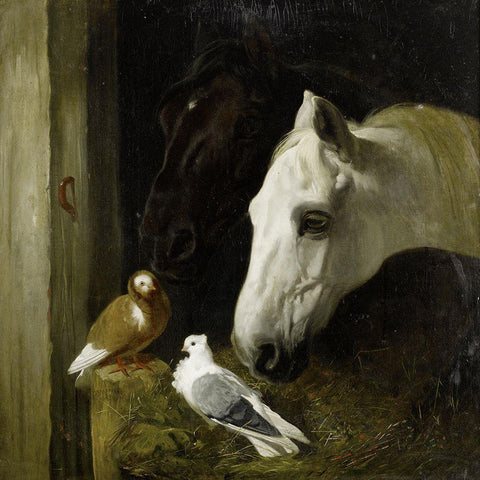 Stable companions White Modern Wood Framed Art Print with Double Matting by Herring, John Frederick