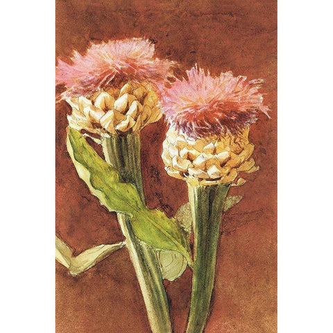 Thistle Gold Ornate Wood Framed Art Print with Double Matting by Sargent, John Singer