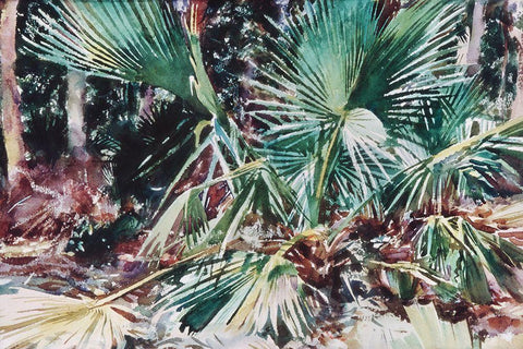 Palmettos White Modern Wood Framed Art Print with Double Matting by Sargent, John Singer