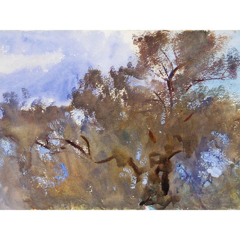 Treetops against Sky White Modern Wood Framed Art Print by Sargent, John Singer