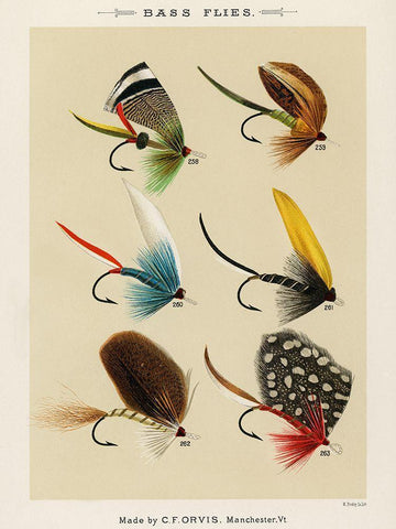 Bass Fishing Flies I from Favorite Flies and Their Histories Black Ornate Wood Framed Art Print with Double Matting by Marbury, Mary Orvis