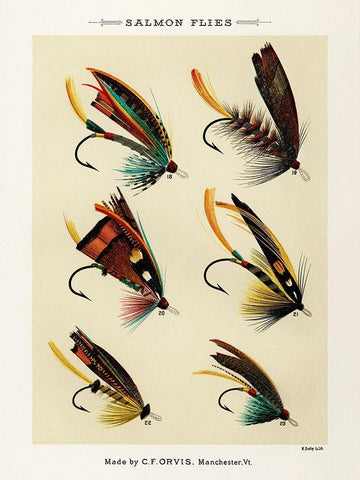 Salmon Fishing Flies II from Favorite Flies and Their Histories White Modern Wood Framed Art Print with Double Matting by Marbury, Mary Orvis