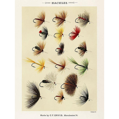 Hackles from Favorite Flies and Their Histories White Modern Wood Framed Art Print by Marbury, Mary Orvis